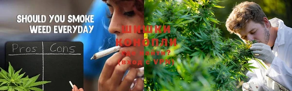 спиды Вяземский