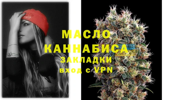 спиды Вяземский