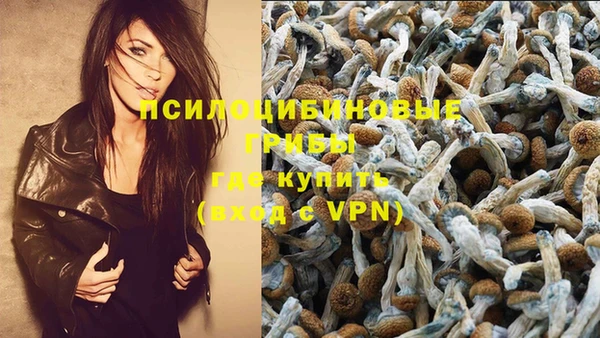 спайс Вязники