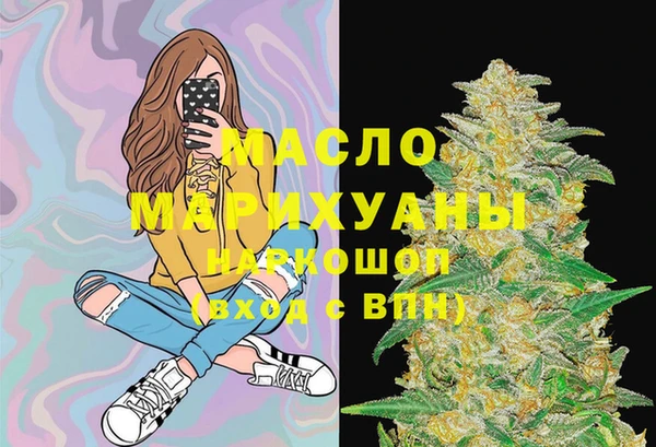 спиды Вяземский