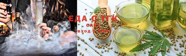 спиды Вяземский