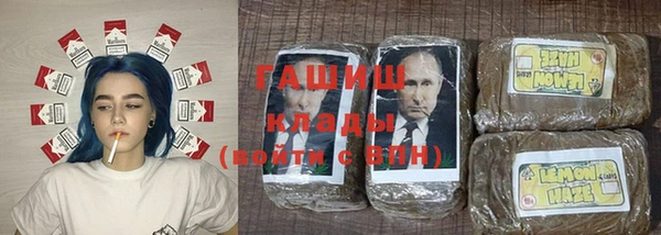 спиды Вяземский