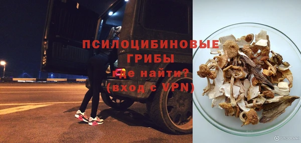 спиды Вяземский