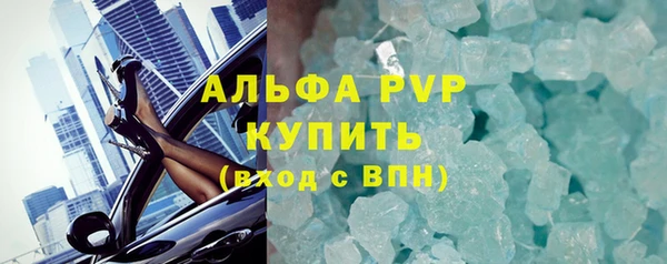 спиды Вяземский